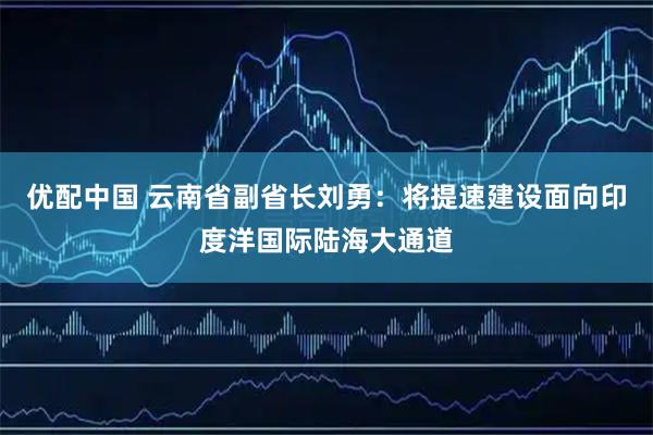 优配中国 云南省副省长刘勇：将提速建设面向印度洋国际陆海大通道