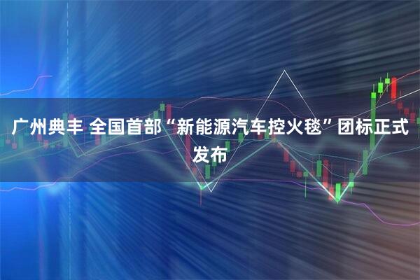 广州典丰 全国首部“新能源汽车控火毯”团标正式发布